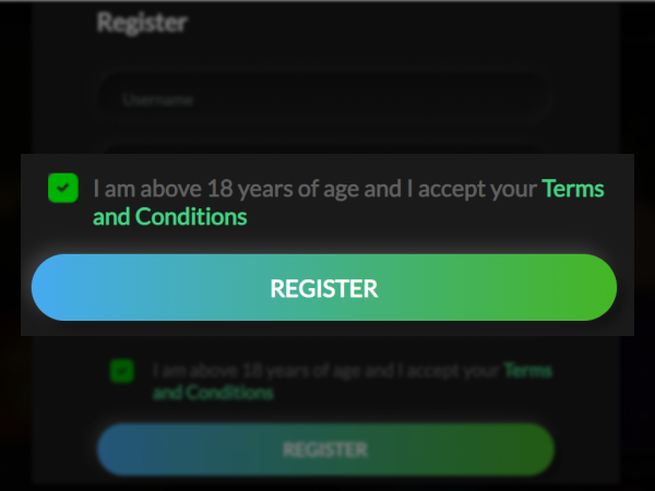 Checkbox for Terms & Conditions and age confirmation on Khelo24Bet, step 4